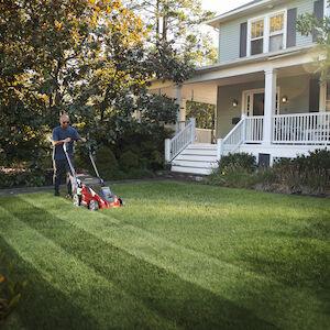 Toro 21611 Mower: Specs, Prices and Dealers | AllMachines