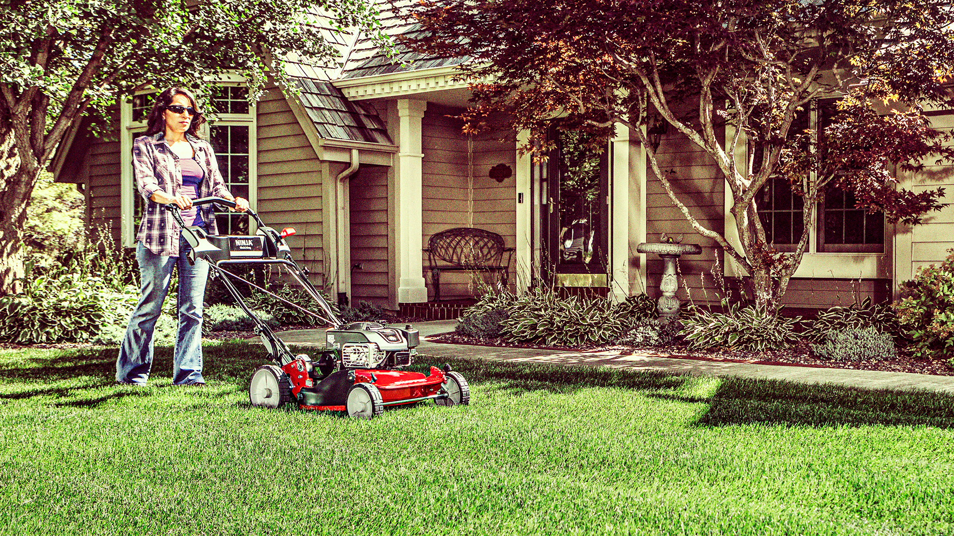 Snapper 7800981B Mower | AllMachines